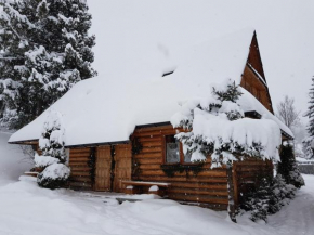Отель Domki Camping Harenda, Закопане